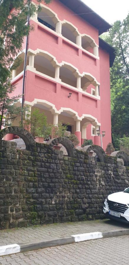 Rosa Villa Băile Olăneşti Eksteriør billede