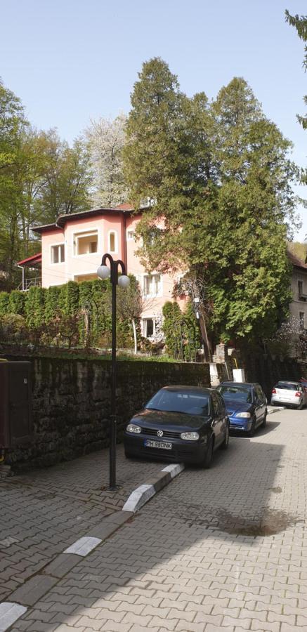 Rosa Villa Băile Olăneşti Eksteriør billede