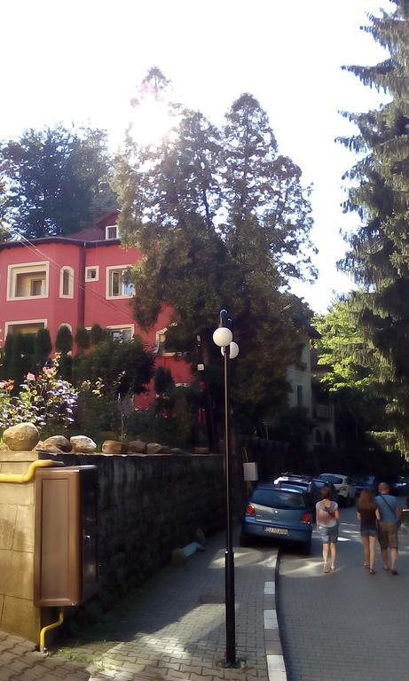 Rosa Villa Băile Olăneşti Eksteriør billede